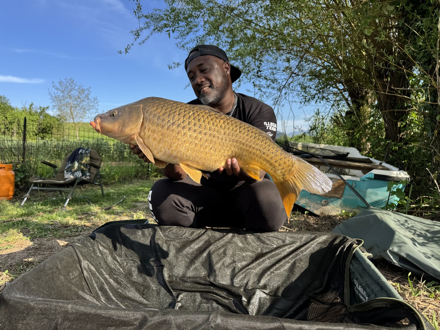 Carpa Regina