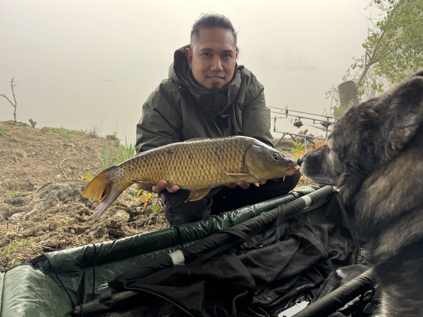Carpa Regina