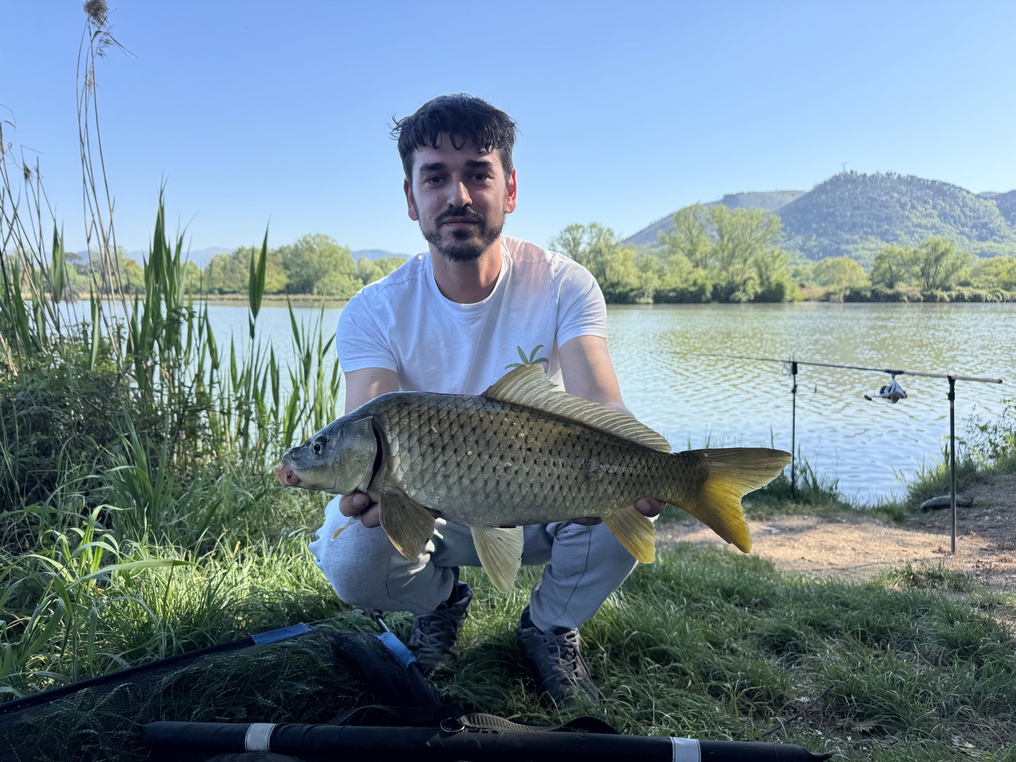 Carpa Regina