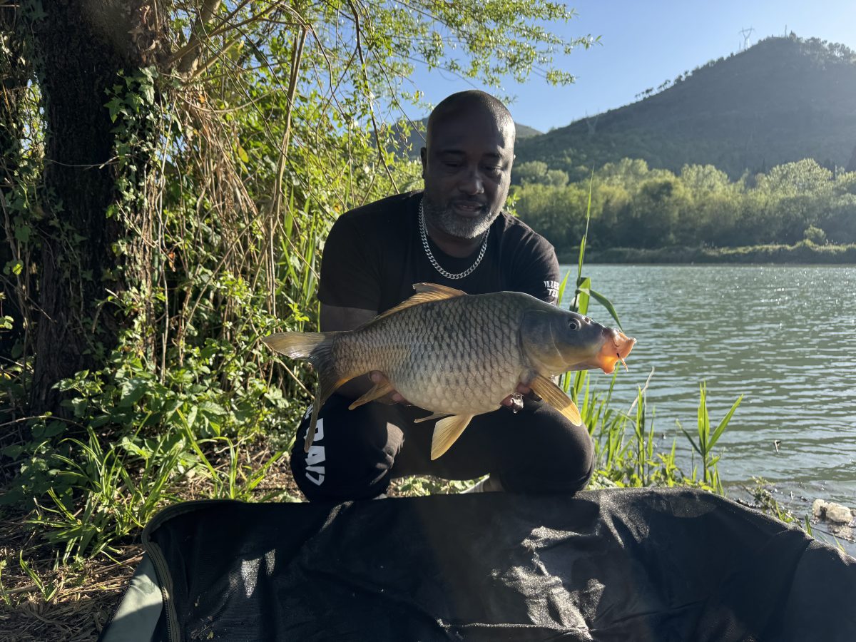 Carpa Regina
