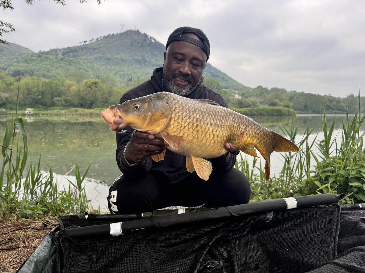 Carpa Regina